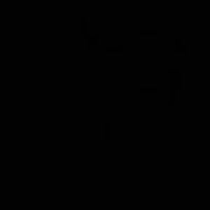 Meet your Posher, Soni